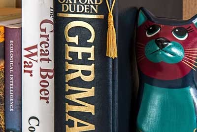 2026福建高考各批次分数线预测 含历年录取分数线