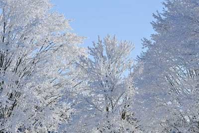 2026历地政502分四川学什么专业就业前景好 502分能报热门专业及冲稳保院校推荐