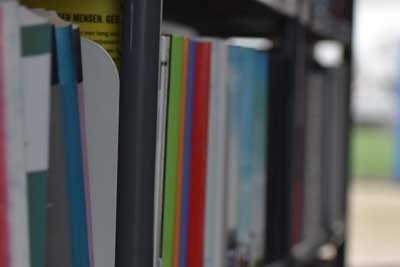 东北农业大学近年在河北录取分数线概览（包括2023-2025各专业最低分数线）